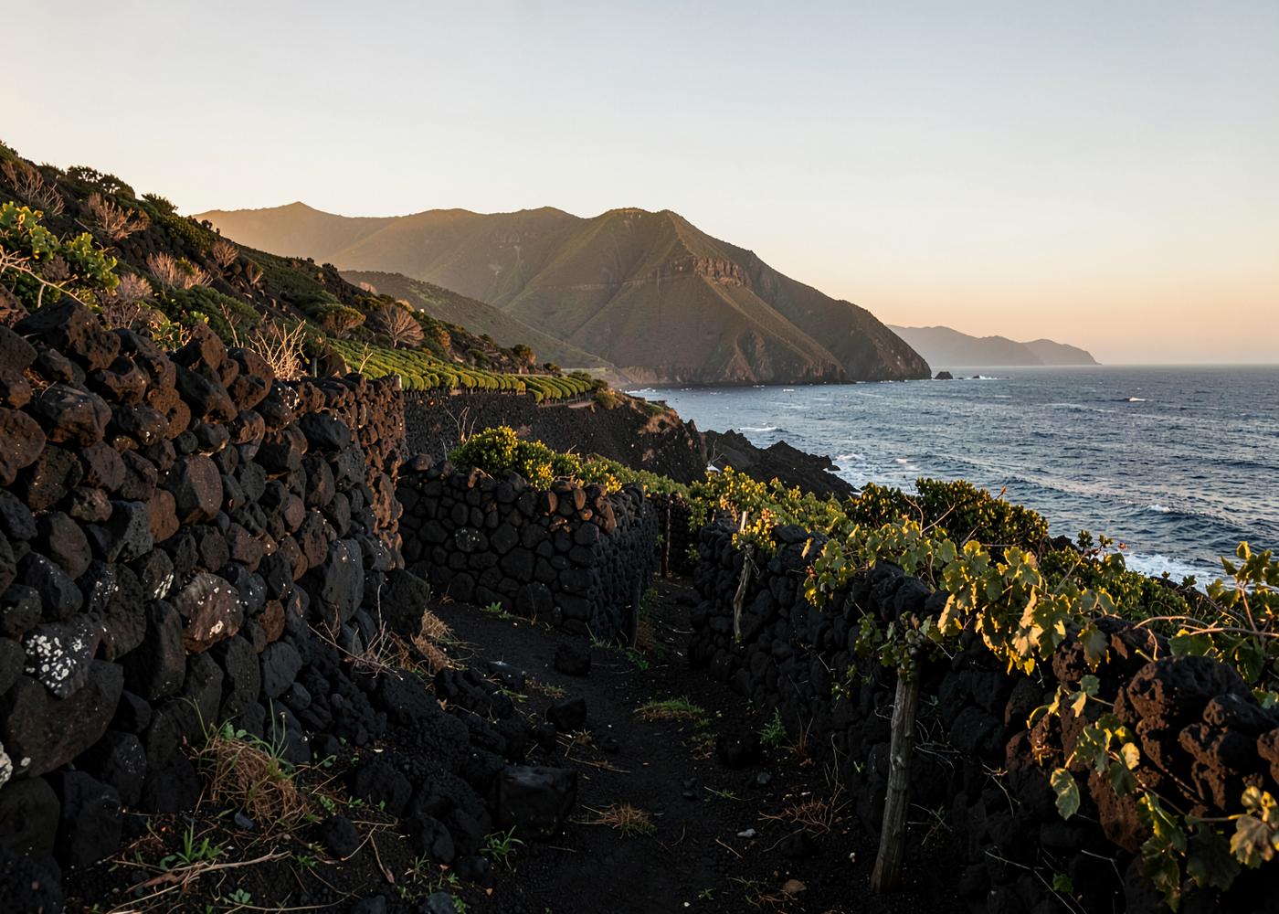 Lava-walled vineyards beside the Atlantic on Pico island